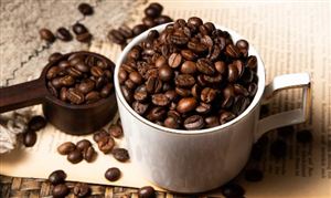 中研普华行业研究网开元棋牌投资热点_(图4)