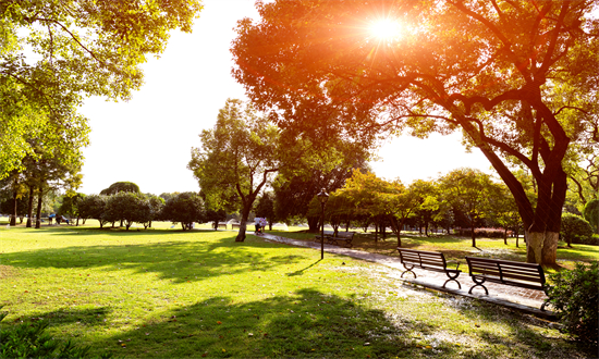 中研普华行业研究网开元棋牌投资热点_(图5)