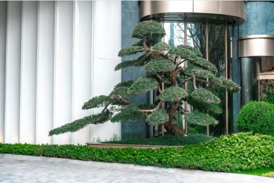 ·都荟天珺售楼处发布：高性价比品质生活开